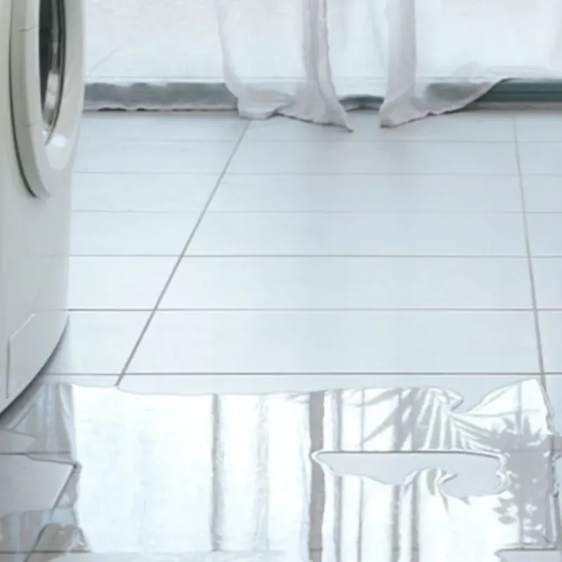 Appliance Leak Cleanup in West Marion, NC