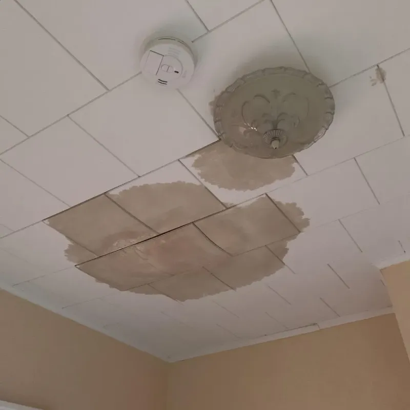 Ceiling Water Damage Repair in West Marion, NC