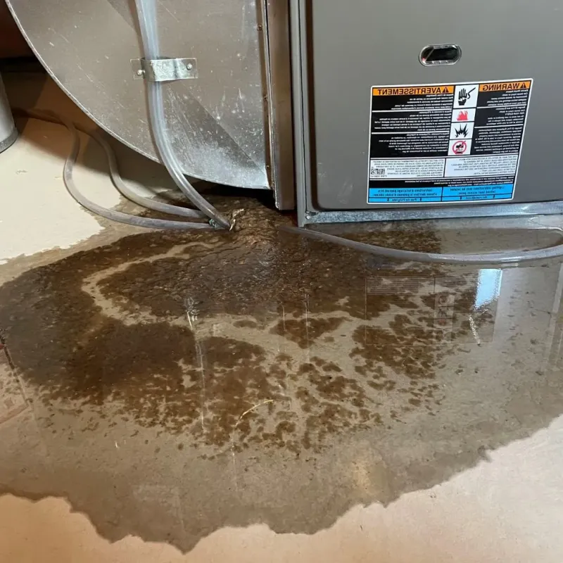 Pipe Burst and Leak Restoration in West Marion, NC