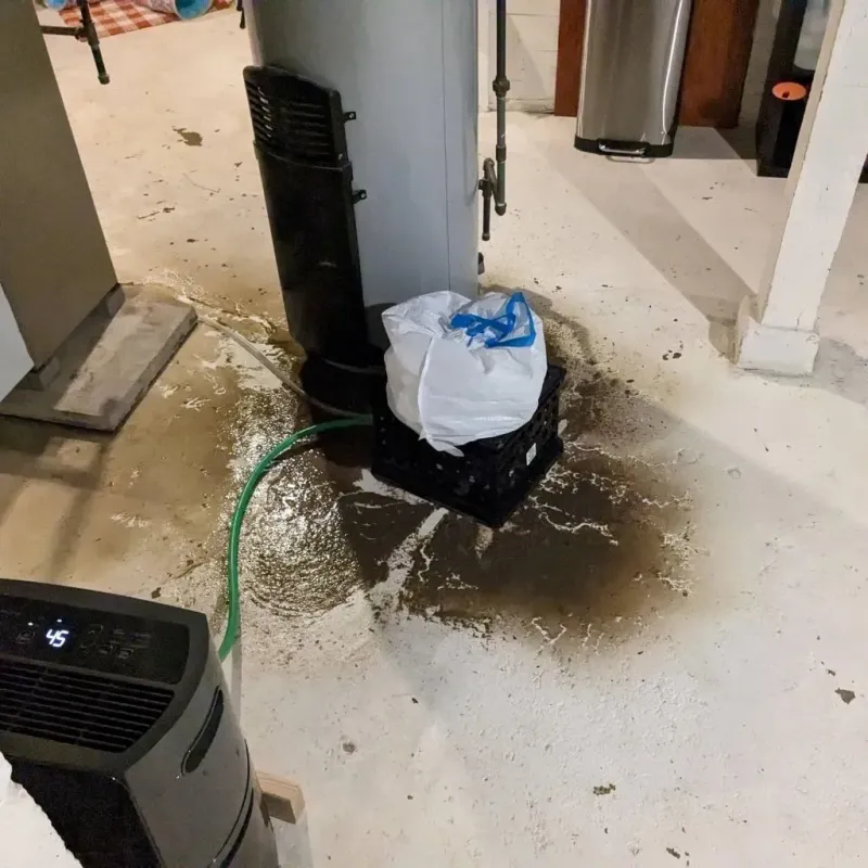 Sewage Backup Cleanup Service in West Marion, NC